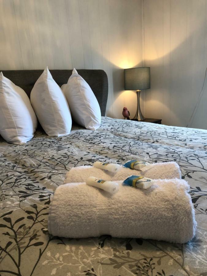 Alma'S Cape Shore Cottage! Your Home Away From Home! Bonavista Luaran gambar